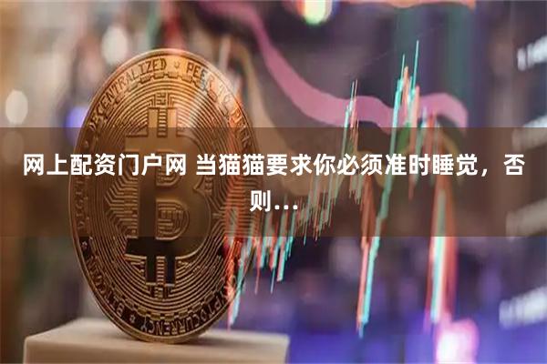 网上配资门户网 当猫猫要求你必须准时睡觉，否则…